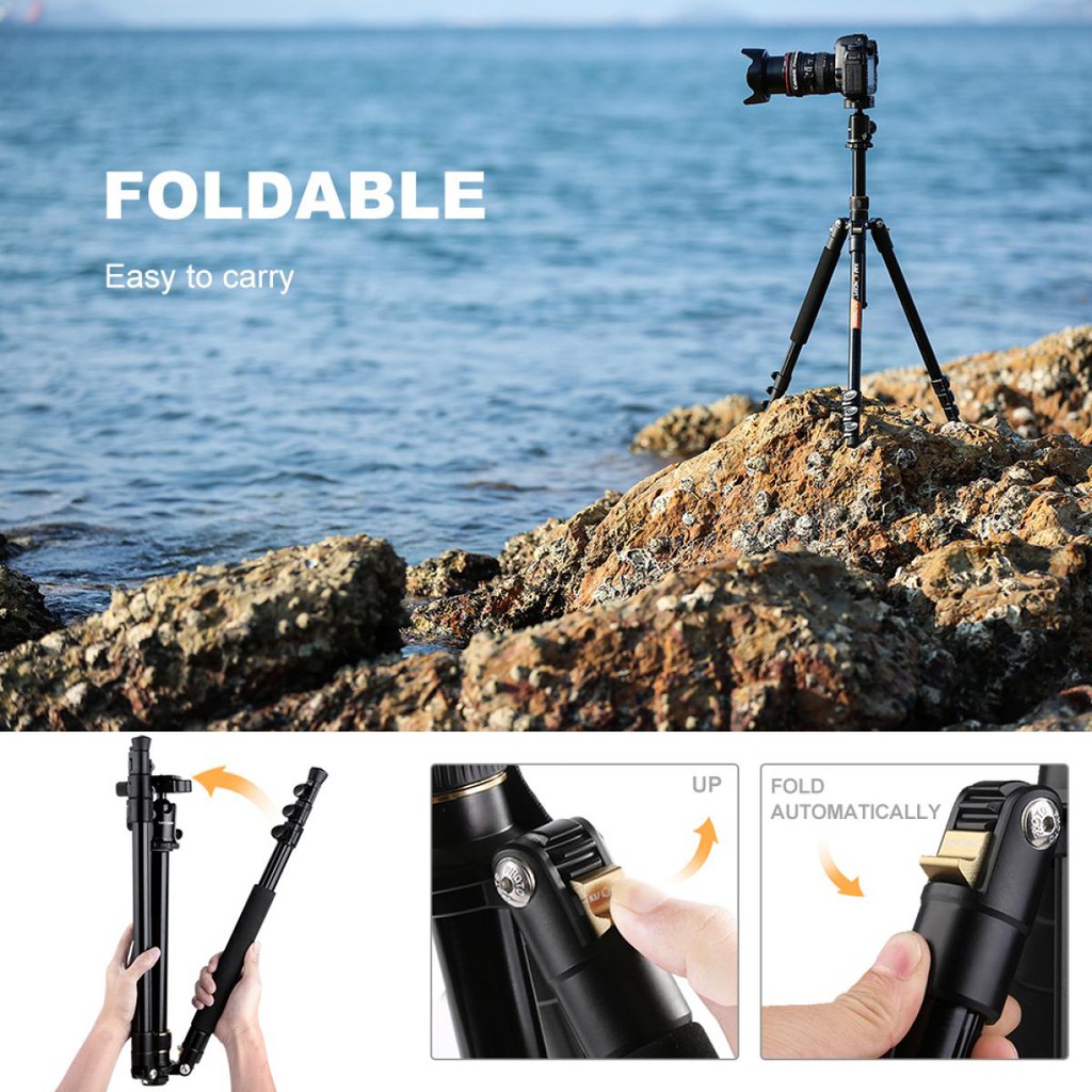 Trépied K&F Concept KF-TM2324 Pour Appareil Photo/vidéo - Portable Et Pro