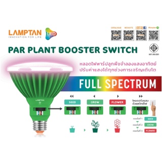 หลอดไฟ ปลูกต้นไม้ Led par38 Plant Booter switch 30w Lamptan