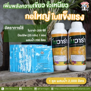 โนวาร่า(1 ลิตร)+ป๊อปอัพ(25 กรัม) ฮอร์โมนและอาหารเสริมพืช ของแท้ต้องฟาร์มอะโกร