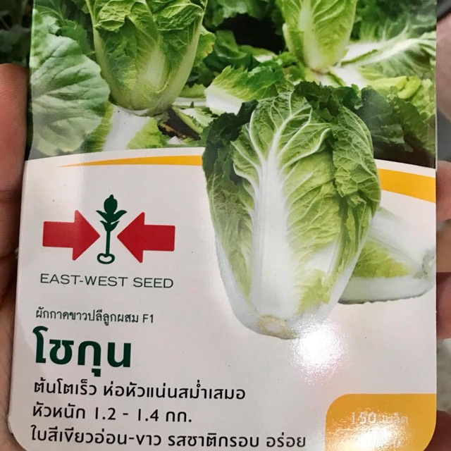ศรแดง ผักกาดขาวปลี ขาวปลี โชกุน (150 เมล็ด)