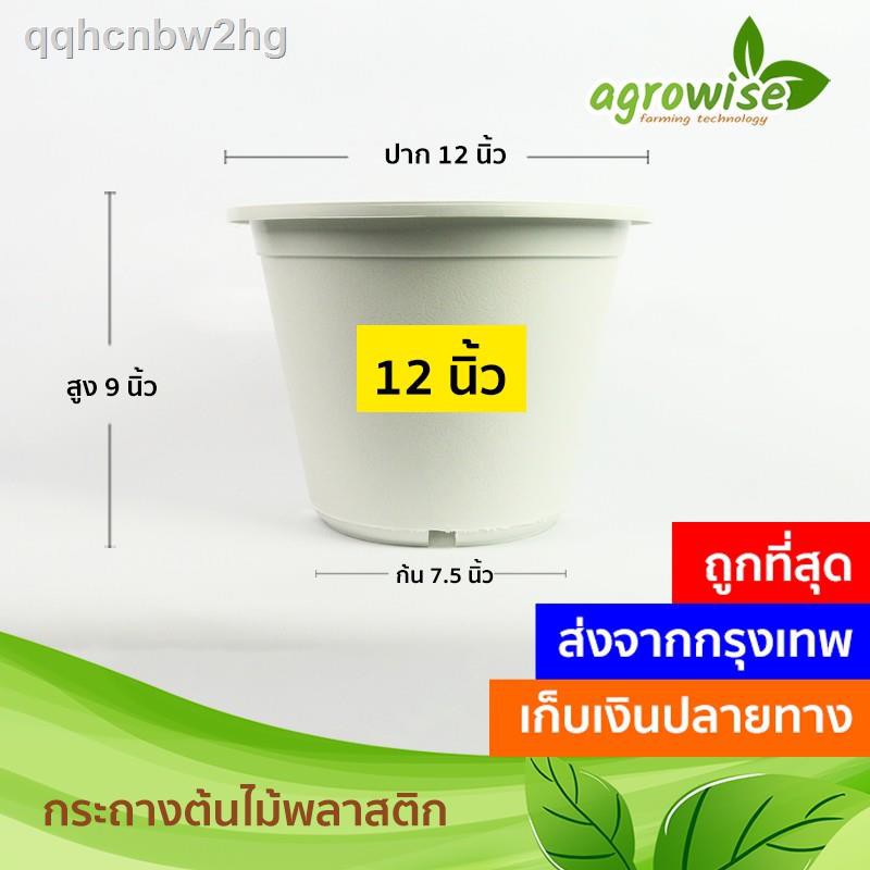 ♝♦🌵 กระถางต้นไม้พลาสติก กระถางต้นไม้ สีขาว 12 นิ้ว ราคาส่ง 20 ใบ 700 บาท