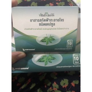 ✶▧แท้💯% ฟ้าาาทะลายโจรสกัดแบบ 10 แคปซูล ฟ้าาาทะลายโจร 300 มก. มี Andrographlide ไม่น้อยกว่า 6% หรือ 20 มก.
