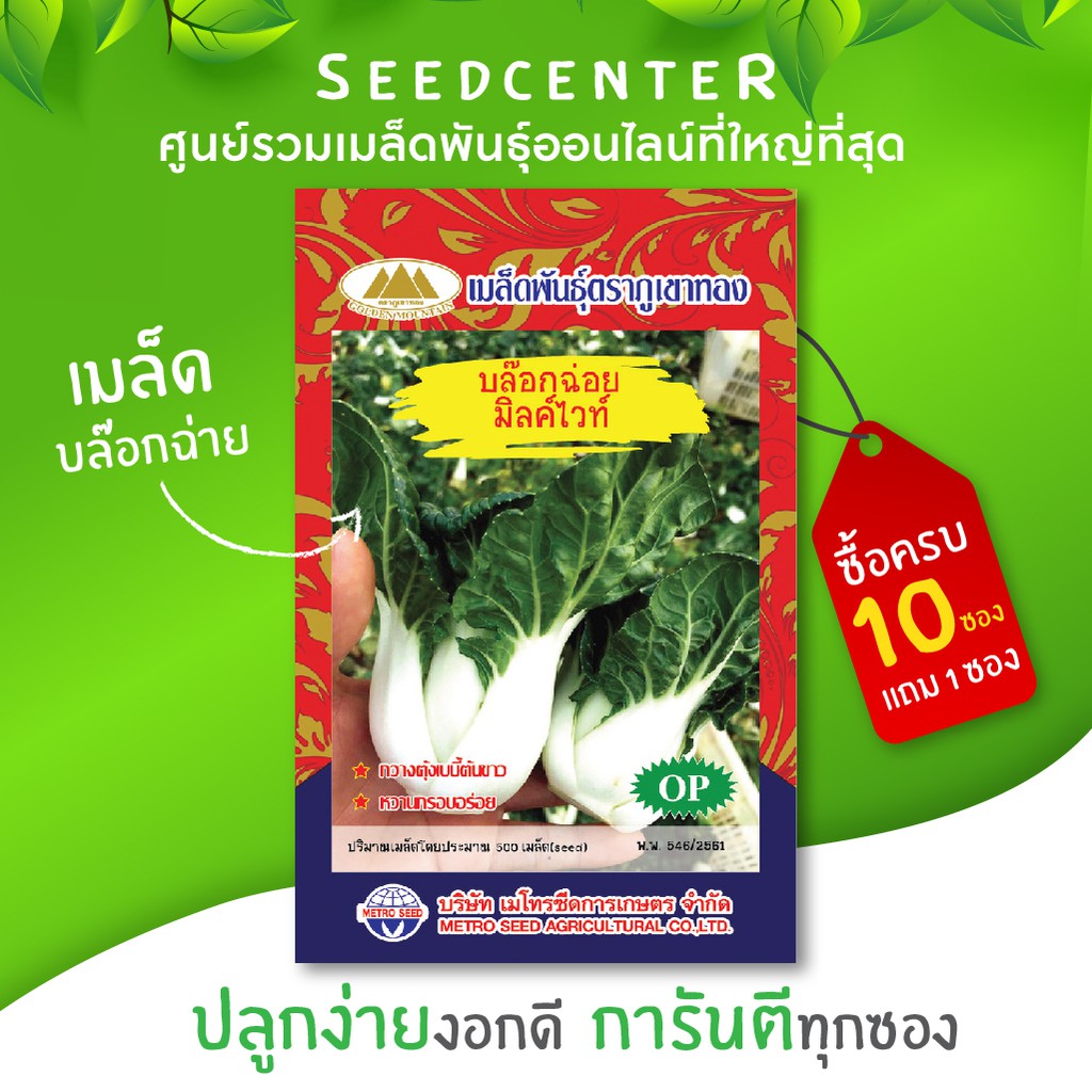 เมล็ดบล็อกฉอย ขนาด 1 กรัม ภูเขาทอง