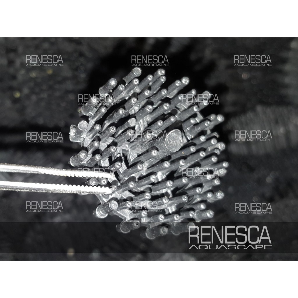 Bioball Bio Ball เงาะ Spike 1 ชิ้น - สื่อกรองบ่อตู้ปลา