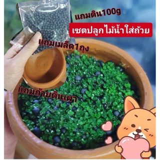 💚เซตปลูกไม้น้ำ​ ใส่ถ้วยดินเผา​ แถมดิน100g แถมเมล็ด​1ถุง