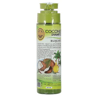 แชมพู มะพร้าว Arbutina coconut Shampoo 250 ml.