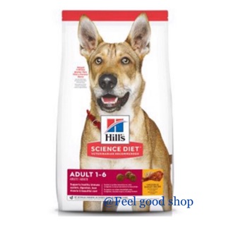 Hill’s Adult advance fitness 15 kg  สุนัข 1-6 ปี เม็ดใหญ่ Exp.09/2024