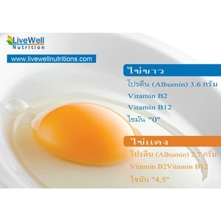 LiveWell Albumin โปรตีนไข่ขาวสกัด จำนวน 120 แคปซูล