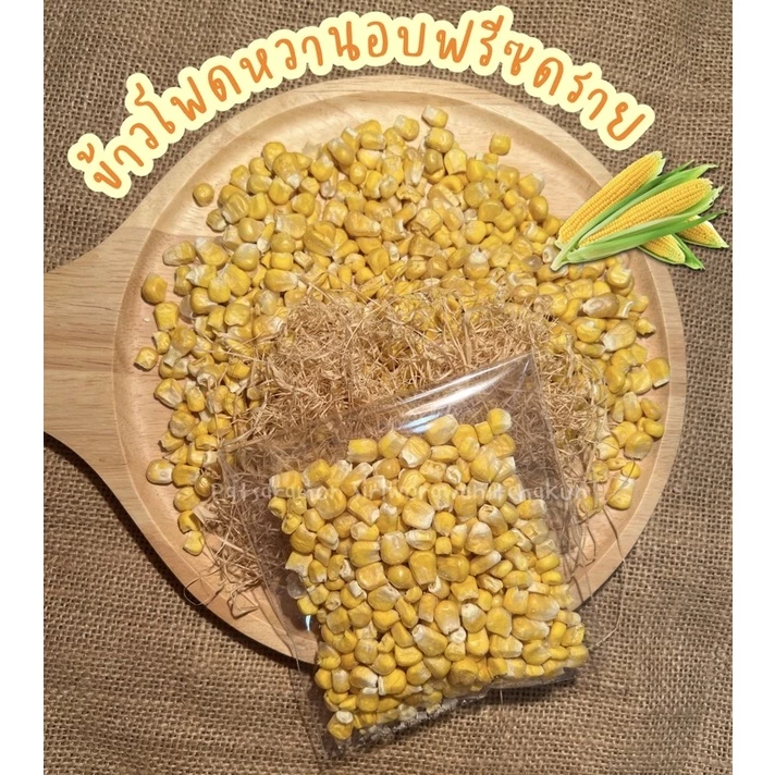 ข้าวโพดหวาน Freeze Dried ขนาด 10 กรัม สำหรับสัตว์เลี้ยง นก หนู แฮมเตอร์ กระต่าย