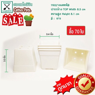 กระถางต้นไม้ พลาสติก ขนาด 3.4 นิ้ว สีขาว 70 ใบ ราคาถูก
