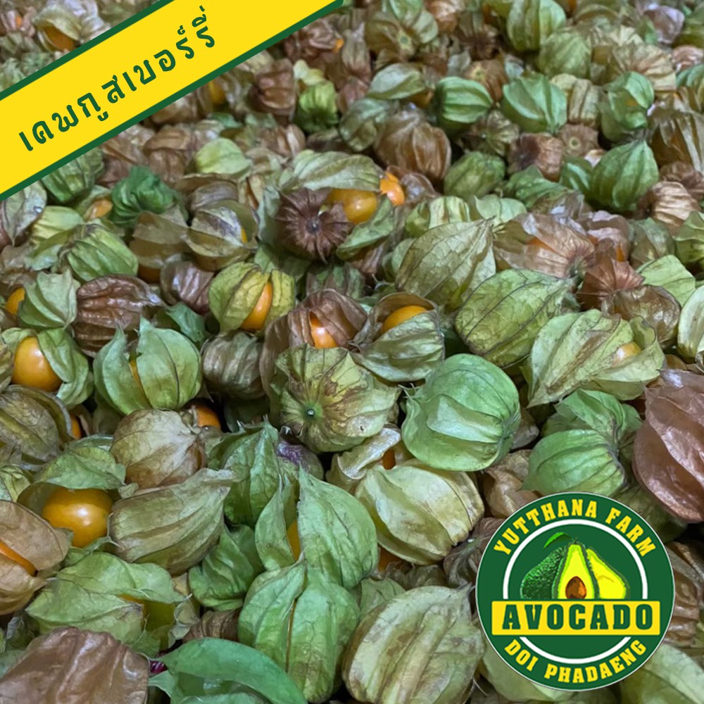 รูปภาพ 6