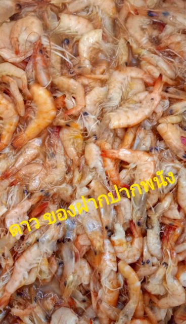 กุ้งส้ม ร้านลุงไข่ ป้าออง