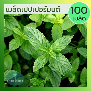 [100เมล็ด] เมล็ดเปเปอร์มิ้นท์ เมล็ดพันธุ์ เปเปอร์มิ้นท์ เปปเปอร์มินท์ เมล็ดมิ้นท์ Peppermint มิ้นท์