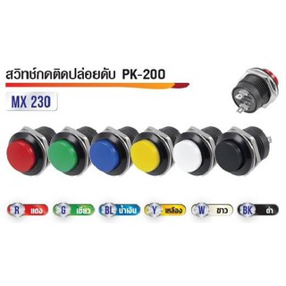 สวิทซ์กดติดปล่อยดับ 2ขา PK-200 220V