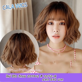 Cala wigs 🔥วิกผมไหมเกาหลีเกรดพรีเมี่ยม🔥สินค้าในไทย