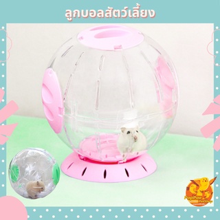 ของเล่นแฮมเตอร์ ลูกบอลสัตว์เลี้ยง พร้อมที่ตั้ง ของเล่นหนูแฮมเตอร์ไจแอนท์ ของเล่นหนูแฮมเตอร์ ของเล่นชูก้า ของเล่นเม่นแคระ