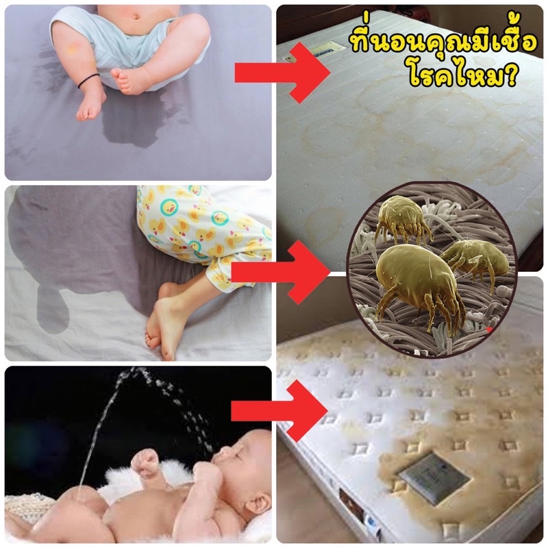 ผ้าปูที่นอนกันน้ำ กันไรฝุ่น ผ้าปูกันเปื้อน กันฉี่ ผ้ารองกันเปื้อน 6ฟุต 5ฟุต 3.5ฟุต ปลอกหมอน (ทำจากผ้าจริง) Premier Care รูปที่ 7