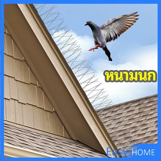 หนามไล่นก อุปกรณ์ไล่นกทำรัง ทนทาน ทนแดด ทนฝน bird thorn