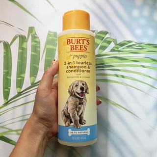 แชมพู+ครีมนวดสำหรับลูกสุนัข 2 in 1 tearless Shampoo &amp; Conditioner with Buttermilk &amp; Linseed 473 ML (Burts Bees®)