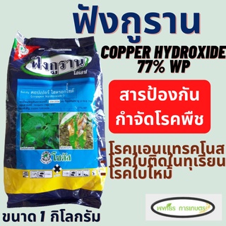 ฟังกูราน โอเอช  (ขนาด 1 กิโลกรัม) (copper hydroxide 77% WP) ป้องกันโรคพืชจากเชื้อราและแบคทีเรีย สูตรทนฝน