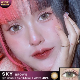 💋 สุดปัง มีค่าสายตา 💋 Wink Sky Gray Brown สายตาปกติ และ สายตาสั้น 0.00-10.00 เลนส์นิ่ม คอนแทคเลนส์ ตาโต บิ๊กอาย ลายฮิต Tiktok แถมตลับฟรี