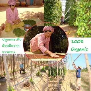 พริกไทยกำปอตแดง (Red Kampot Pepper) 100 กรัม กำปอตแท้ พริกไทยกัมปอต พริกไทยเขมร