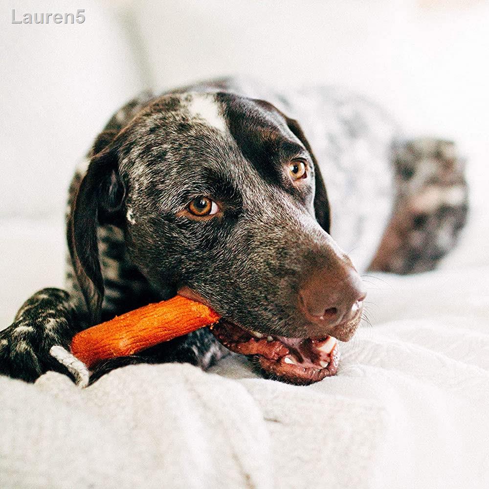 🔥ลด 50% ทั้งไซต์🔥☇Petstages Dogwood Mesquite - กิ่งไม้แทะเล่นของสุนัข กลิ่นบาบีคิว ช่วยขัดฟัน สำหรับสุนัขพันธุ์กลาง-ให