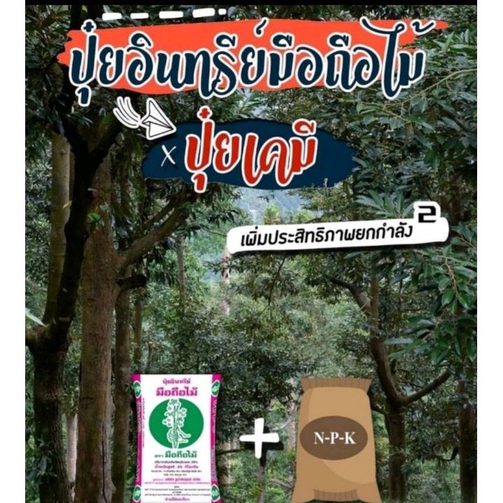 ป ปุ๋ยอินทรีย์มือถือไม้รากพุ่งสะดุ้งยันยอด 1 กก. 29 บาท สินค้าดีราคาถูกมีคุณภาพได้มาตรฐานมือถือไม้ไว