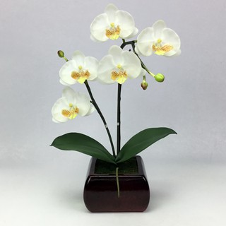 OrientalFineArt  กระถางดอกกล้วยไม้แต่งบ้าน สวยเหมือนจริง Phalaenopsis วางประดับตกแต่งเพื่อความสวยงาม(AM-14-RED F9)