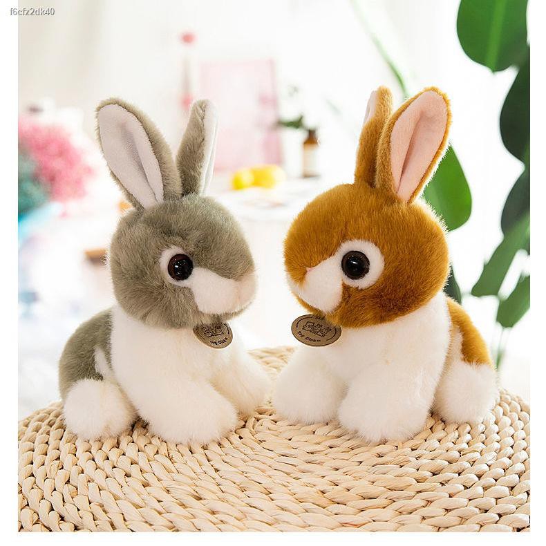 ข้อเสนอพิเศษตุ๊กตาจำลอง ของเล่นตุ๊กตากระต่าย rag doll little white ...