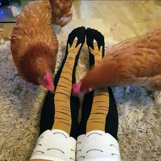 🐔Funny stocks ถุงเท้าขาไก่🧡💛🧡[Scheming + thin] chicken feet socks female over the knee funny