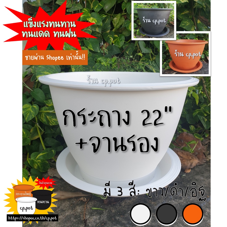 [เซ็ท] กระถางพลาสติก22นิ้ว+จานรอง (⚪⚫🟠 ขาว/ดำ/อิฐ) เจาะ4รู #กระถางใหญ่ #กระถางรูเยอะ #ระบายน้ำดี #cp.pot