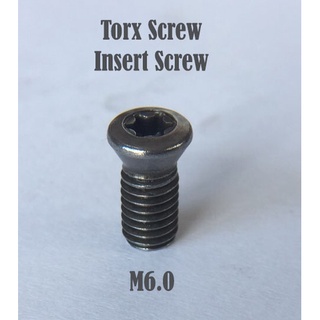 TorxScrew,InsertScrew,น็อตยึดมีดกลึง,น็อตยึดมีดกัด,น็อตยึดมีดมิลลิ่ง,น็อตสกรูดาวม,CarbideCNClathe,MillingCNC