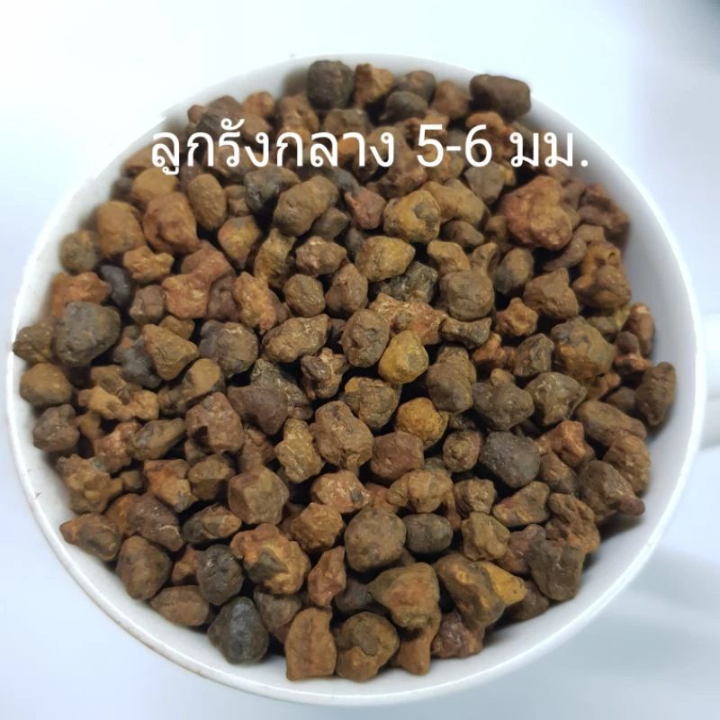 หินโรยหน้ากระถาง หินตกแต่งตู้ปลา 🌵ถุง 1 กิโลกรัม🐬 หินโรยกระถาง หินตู้ปลา หินแคคตัส หินบอนไซ thumbnail 7