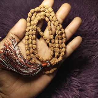 Rudraksha mukhi 3 japamala 108