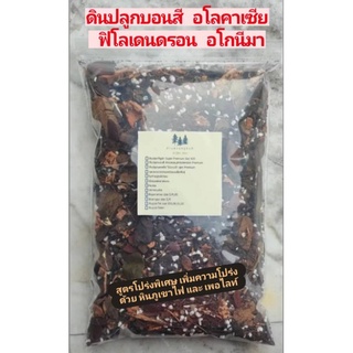 HOT❗ดินปลูกบอนสี,ไม้ใบด่าง,ฟิโลเดนดอน สูตรพรีเมี่ยมใบก้ามปู โปร่งพิเศษ Super Premium Soil for Alocacia,Philodendron,