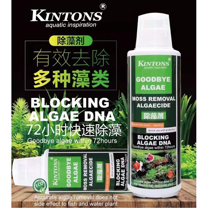Kintons Goodbye Algae Green Away Remover 280ml