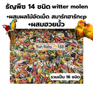 อาหารนกแก้ว ธัญพืช16ชนิด ผสมเมล็ดฮวยมั้ว ผสมผลไม้อัดเม็ดcp แบ่งขาย1kg