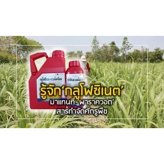 กลูโฟซิเนต แอมโมเนียม 4ลิตร ตราเสือคู่ มี 2 แบบแกลลอน ⚠️กำจัดหญ้าใบแคบและใบกว้าง หญ้าทุกชนิด แทนเผาไหม้