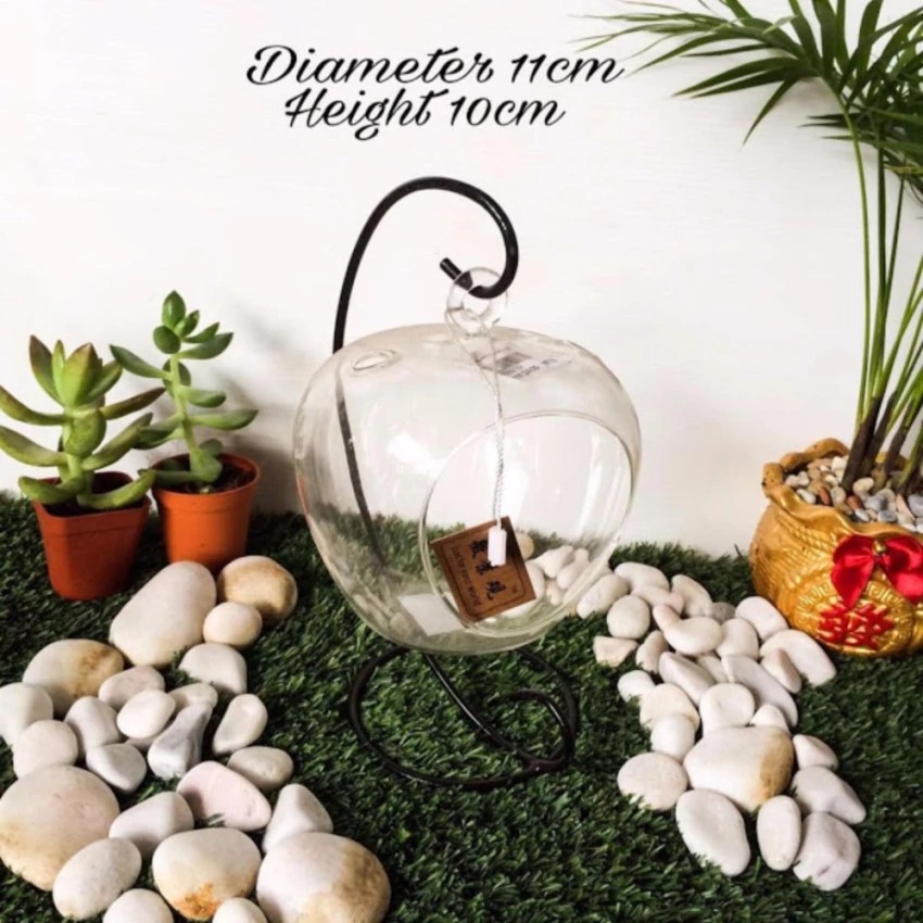GNC CLEAR APPLE DESIGN แขวนราง TERRARIUM CONTAINER-1002152