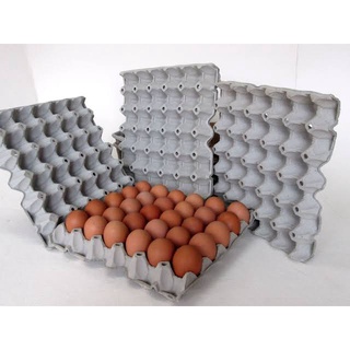 แผงไข่ไก่เกรดA แผงกระดาษไข่ไก่ ถาดกระดาษ (มีเก็บปลายทาง)คุ้ม…