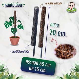 ถูกที่สุด หลักไม้เลื้อย เสาไม้เลื้อย ขนาด 70 cmปราศจากเชื้อรา คุณภาพดีที่สุด