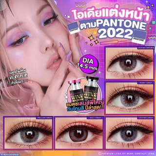 💋 สุดปัง มีค่าสายตา 💋สุ่มลาย คอนแทคเลนส์  💋 สีเทา 💋 บิ๊กอาย สุดปัง คอนแทคเลนส์ รายเดือน มีอย แถมตลับฟรี เลนส์นิ่ม สวยปัง