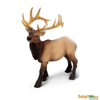 Safari Ltd. : SFR180329* โมเดลสัตว์ Elk Bull