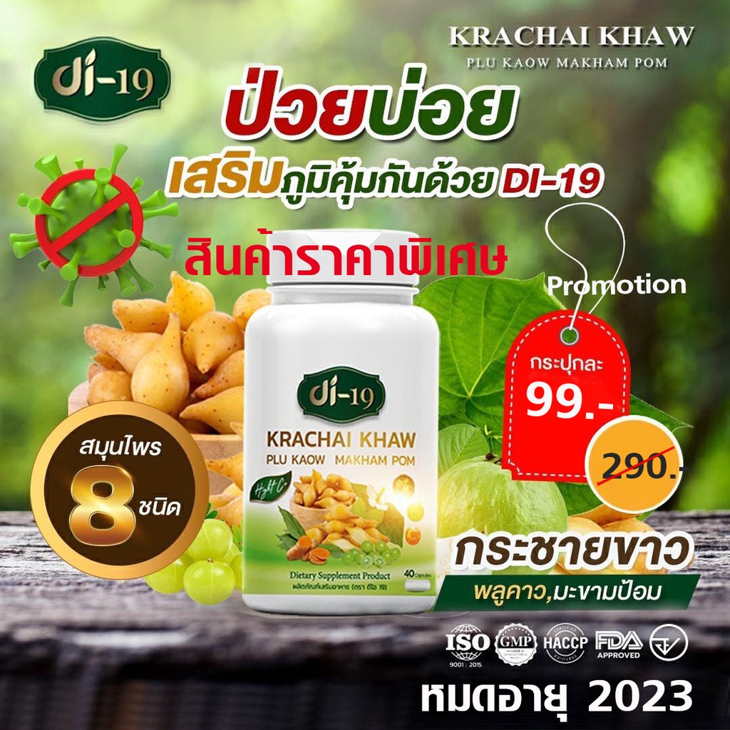 กระชายขาวสกัด Di19 เม็ดเดียวครบพร้อมส่ง กระชายขาวดีกว่าฟ้าทะลายโจร 20 เท่า