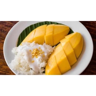 #ต้นมะม่วงอกร่องทอง(เสียบยอด) พันธุ์ทวาย 1 ปีติดผล (นิยมนำมาทานกับข้าวเหนียวมูลอร่อยมาก)