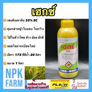 เฮกซ์ 1 ลิตร ลอตใหม่ ทะเบียนใหม่ เพนดิเมทาลิน คุม ฆ่า หญ้าใบแคบ และใบกว้าง คุมแห้งในนาข้าว ข้าวโพด ผักชี นาน 3 เดือน