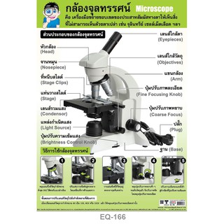 โปสเตอร์กระดาษ กล้องจุลทรรศน์ #EQ-166