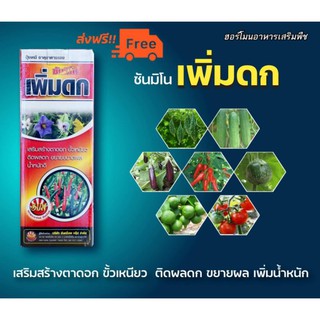 🚨ส่งฟรี🚨ฮอร์โมนพืช ซันมิโน เพิ่มดก ขั้วเหนียว ขยายผล เพิ่มผลผลิต ใช้ได้ทั้งผัก ผลไม้