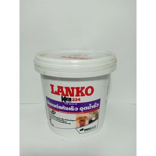 ซีเมนต์แห้งเร็ว อุดน้ำรั่ว Lanko 224 Rapid Plug